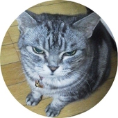 相原