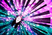 蝉ファイナル太郎