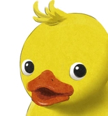 p珍