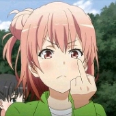 桂雏菊桑