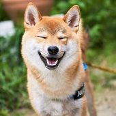 ばーしー