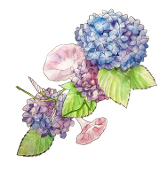 あきみや