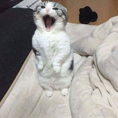 tantan