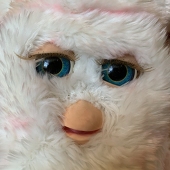 _
