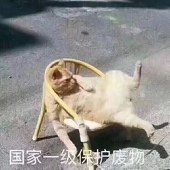 成田丸读子