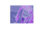 fang