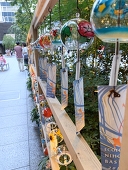 遠野碧