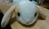 ないときゃっと