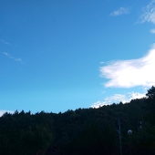 なお♯
