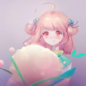 Z同学