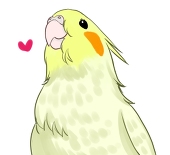 おちゃ屋