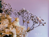 Daisyyyyy