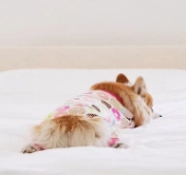 Khloe