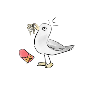 kcbird