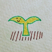 本の葉