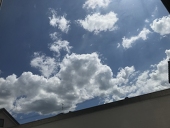 栗田