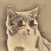 M.L.O