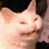 smugsterson