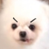全人类