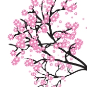 華夜