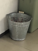 タコつ