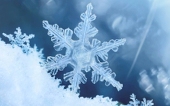 冬野　小雪。