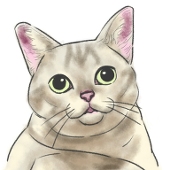 クソネコ