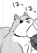 うおや