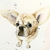 yooni
