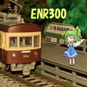 ENR300