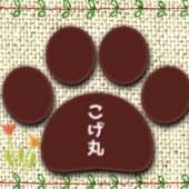 こげ丸