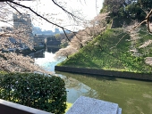 Yuki