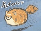 甲方2025