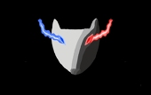 WolFox Spirit