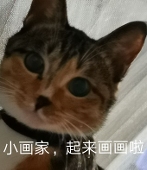冰子乄