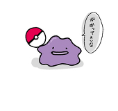 も