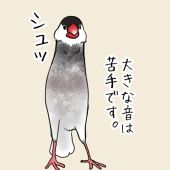 福乃