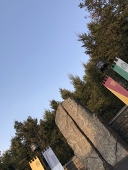 あきさめ