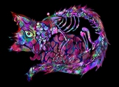 れリほ