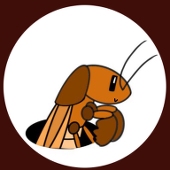 おけら