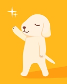 小白起司