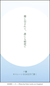 ののら