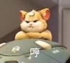 荔荔荔枝