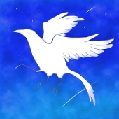 冴渡夜