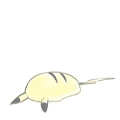 氷都
