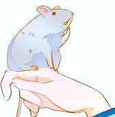 ゆはと