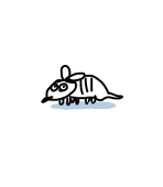 ハコ