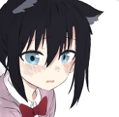 スーフィ