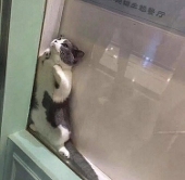 たいマイ