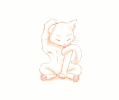 狂った猫(ヌコ)